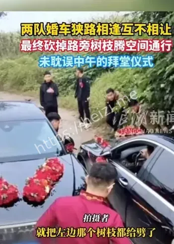 婚车狭路相遇砍树
